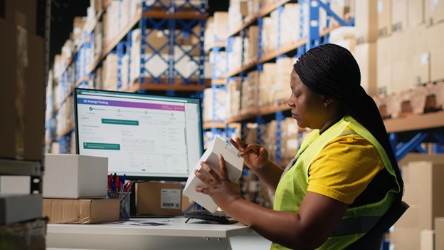 Zoho Inventory implementation services